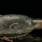 Antique glass bottle, fish shape