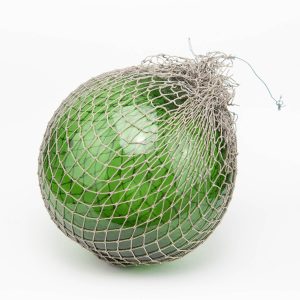 Antique green sea buoy with net