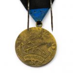 Vabadussõja medal - Kodu kaitseks
