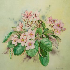 Tatjana Salmre (1945-2013) akvarell Roosa kannike,1988a Tatjana Salmre (1945-2013) akvarell Roosa kannike,1988a