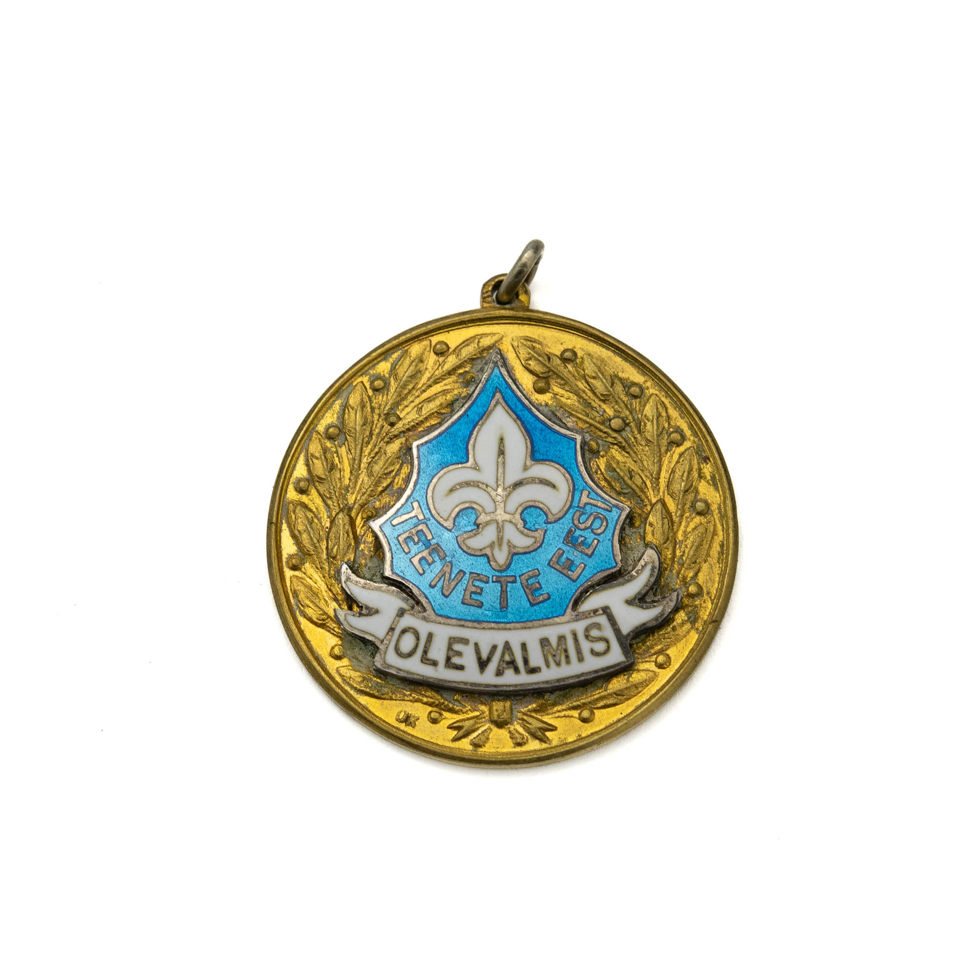 EW skautluse medal Teenete eest EW skautluse medal Teenete eest