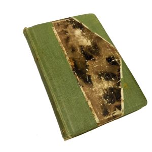 EW aegne raamat-Suguelu ja tema eksimised.Mis noorte inimestele teada sünnis ja abielu-rahwale teada tarwis,Valga 1905a EW aegne raamat-Suguelu ja tema eksimised.Mis noorte inimestele teada sünnis ja abielu-rahwale teada tarwis,Valga 1905a