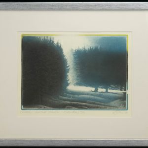 Sirja Eelma graafika Pildikesi koduteelt II,sügavtrükk 39/50 1988a