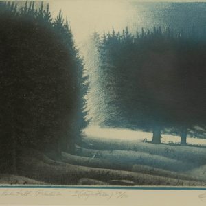 Sirja Eelma graafika Pildikesi koduteelt II,sügavtrükk 39/50 1988a