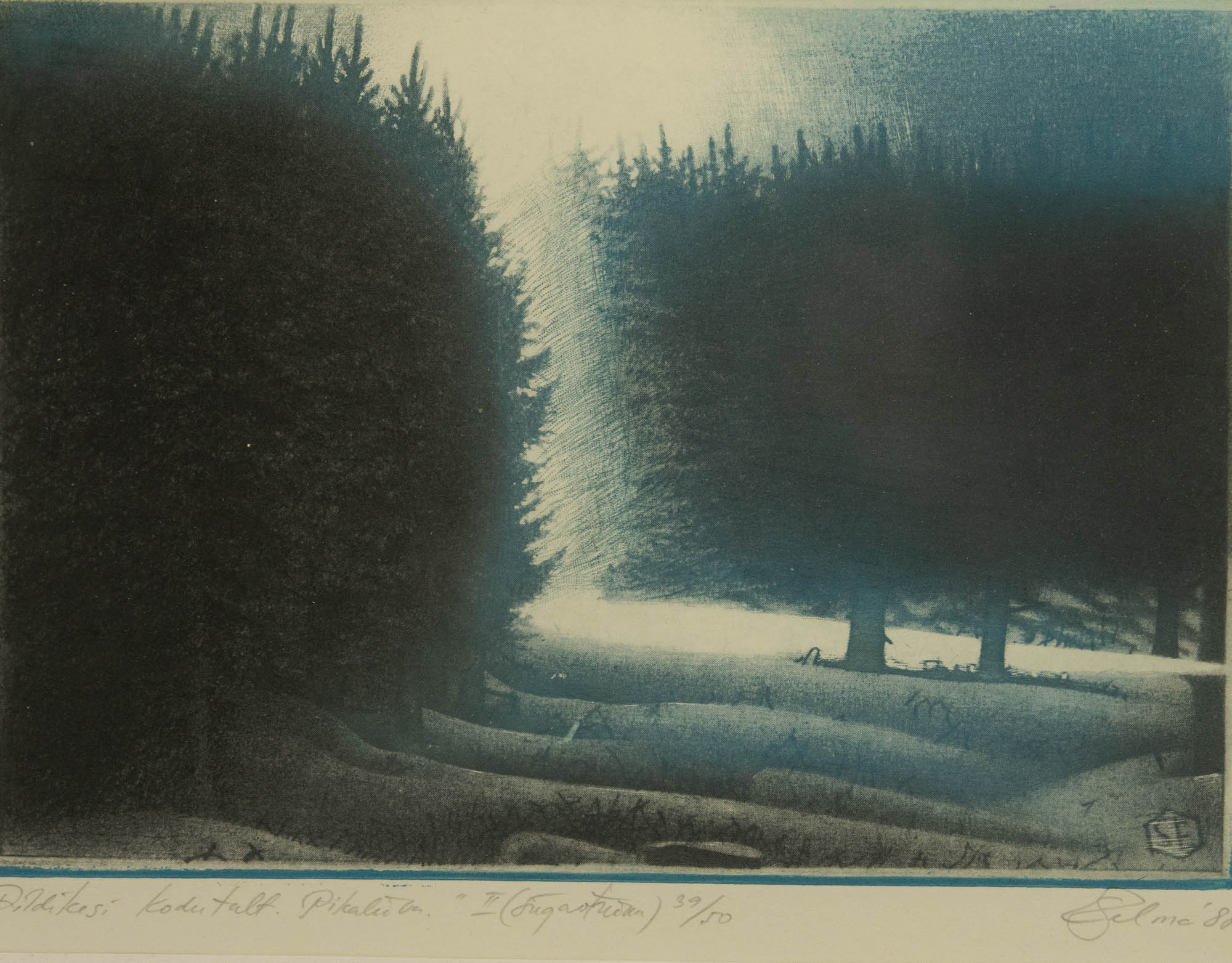 Sirja Eelma graafika Pildikesi koduteelt II,sügavtrükk 39/50 1988a