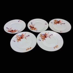 Langebrauni põldmarja dekooriga portselanist taldrikud 5 tk