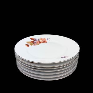 Langebrauni põldmarja dekooriga portselanist praetaldrikud 7 tk