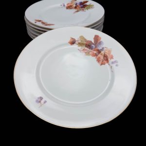 Langebrauni põldmarja dekooriga portselanist praetaldrikud 7 tk